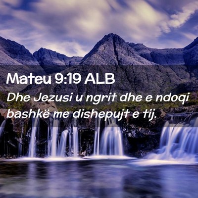 Picture 02 - Mateu 9:19 ALB - Dhe Jezusi u ngrit dhe e ndoqi bashkë me - Bible Verse Picture