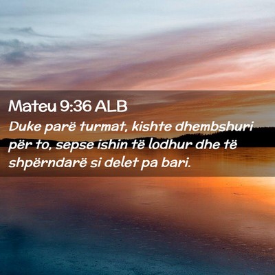 Picture 02 - Mateu 9:36 ALB - Duke parë turmat, kishte dhembshuri për to, - Bible Verse Picture
