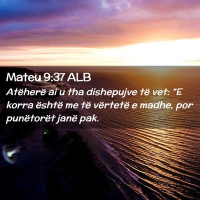Picture 02 - Mateu 9:37 ALB - Atëherë ai u tha dishepujve të vet: “E korra - Bible Verse Picture
