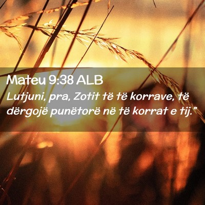Picture 02 - Mateu 9:38 ALB - Lutjuni, pra, Zotit të të korrave, të - Bible Verse Picture