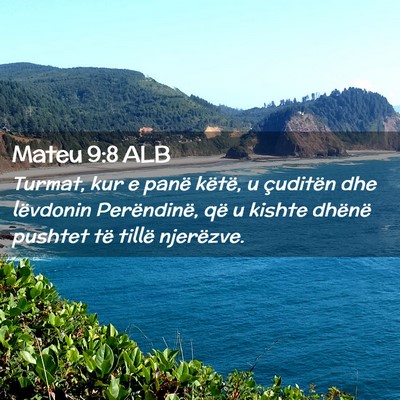 Picture 02 - Mateu 9:8 ALB - Turmat, kur e panë këtë, u çuditën dhe - Bible Verse Picture