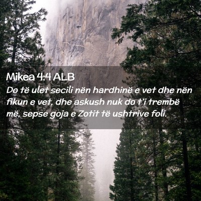 Picture 02 - Mikea 4:4 ALB - Do të ulet secili nën hardhinë e vet dhe nën - Bible Verse Picture