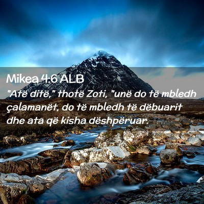 Picture 02 - Mikea 4:6 ALB - 