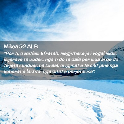 Picture 02 - Mikea 5:2 ALB - 
