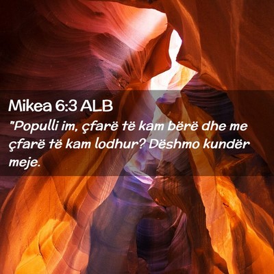 Picture 02 - Mikea 6:3 ALB - 