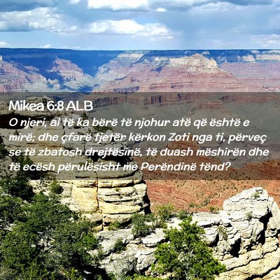 Picture 02 - Mikea 6:8 ALB - O njeri, ai të ka bërë të njohur atë që - Bible Verse Picture