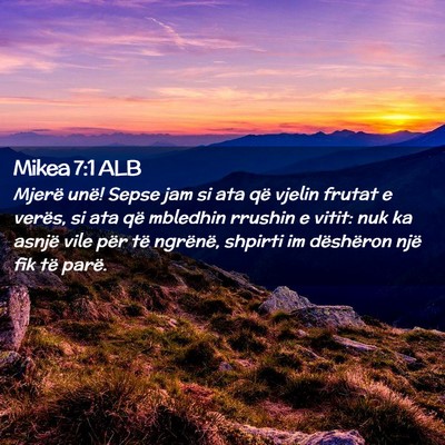 Picture 02 - Mikea 7:1 ALB - Mjerë unë! Sepse jam si ata që vjelin frutat e - Bible Verse Picture