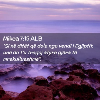 Picture 02 - Mikea 7:15 ALB - 