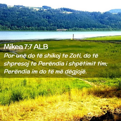 Picture 02 - Mikea 7:7 ALB - Por unë do të shikoj te Zoti, do të shpresoj - Bible Verse Picture