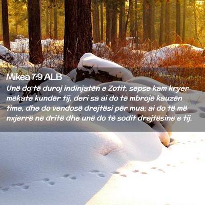 Picture 02 - Mikea 7:9 ALB - Unë do të duroj indinjatën e Zotit, sepse kam - Bible Verse Picture