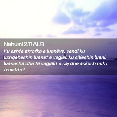 Picture 02 - Nahumi 2:11 ALB - Ku është strofka e luanëve, vendi ku - Bible Verse Picture