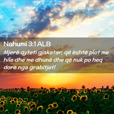 Picture 02 - Nahumi 3:1 ALB - Mjerë qyteti gjakatar, që është plot me hile - Bible Verse Picture