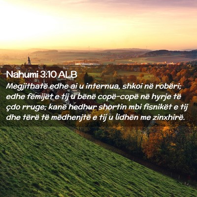 Picture 02 - Nahumi 3:10 ALB - Megjithatë edhe ai u internua, shkoi në - Bible Verse Picture