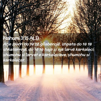 Picture 02 - Nahumi 3:15 ALB - Atje zjarri do të të gllabërojë, shpata do - Bible Verse Picture