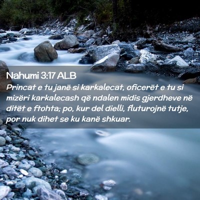 Picture 02 - Nahumi 3:17 ALB - Princat e tu janë si karkalecat, oficerët e tu - Bible Verse Picture