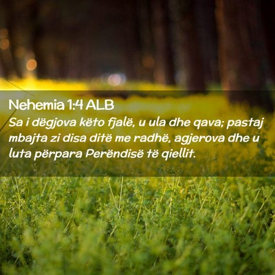 Picture 02 - Nehemia 1:4 ALB - Sa i dëgjova këto fjalë, u ula dhe qava; - Bible Verse Picture