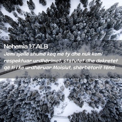 Picture 02 - Nehemia 1:7 ALB - Jemi sjellë shumë keq me ty dhe nuk kemi - Bible Verse Picture