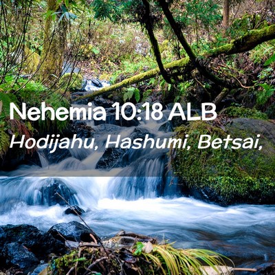 Picture 02 - Nehemia 10:18 ALB - Hodijahu, Hashumi, - Bible Verse Picture