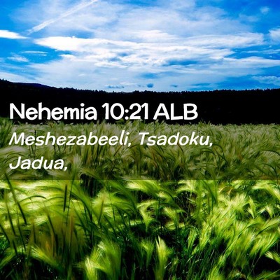 Picture 02 - Nehemia 10:21 ALB - Meshezabeeli, Tsadoku, - Bible Verse Picture