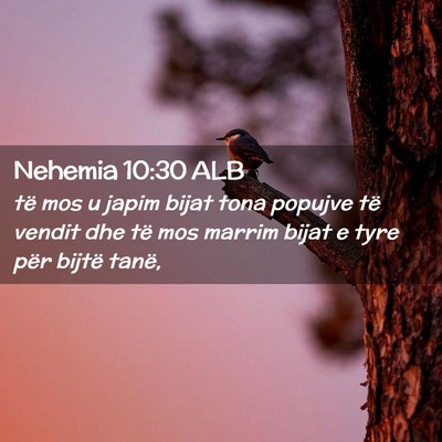 Picture 02 - Nehemia 10:30 ALB - të mos u japim bijat tona popujve të vendit dhe - Bible Verse Picture