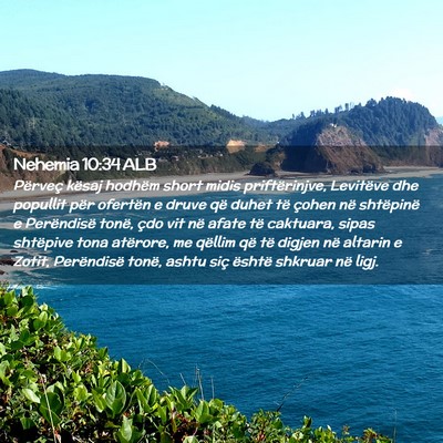 Picture 02 - Nehemia 10:34 ALB - Përveç kësaj hodhëm short midis - Bible Verse Picture