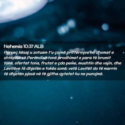 Picture 02 - Nehemia 10:37 ALB - Përveç kësaj u zotuam t’u çojmë - Bible Verse Picture