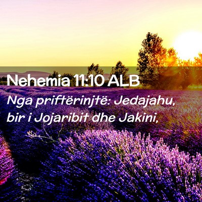 Picture 02 - Nehemia 11:10 ALB - Nga priftërinjtë: Jedajahu, bir i Jojaribit dhe - Bible Verse Picture