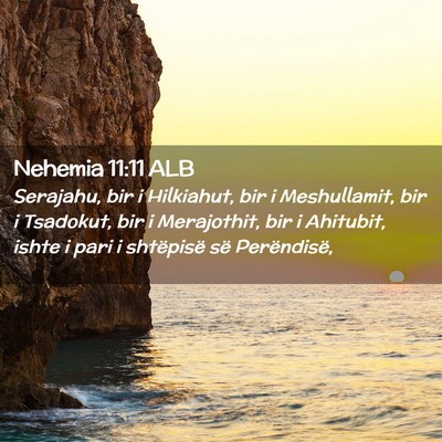 Picture 02 - Nehemia 11:11 ALB - Serajahu, bir i Hilkiahut, bir i Meshullamit, bir - Bible Verse Picture