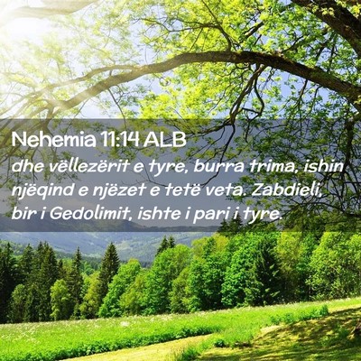 Picture 02 - Nehemia 11:14 ALB - dhe vëllezërit e tyre, burra trima, ishin - Bible Verse Picture