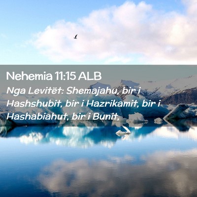 Picture 02 - Nehemia 11:15 ALB - Nga Levitët: Shemajahu, bir i Hashshubit, bir i - Bible Verse Picture