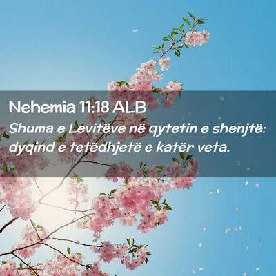 Picture 02 - Nehemia 11:18 ALB - Shuma e Levitëve në qytetin e shenjtë: dyqind - Bible Verse Picture