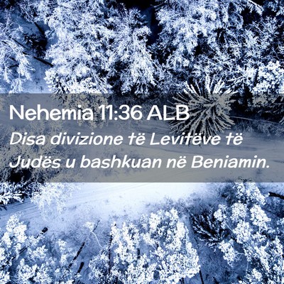 Picture 02 - Nehemia 11:36 ALB - Disa divizione të Levitëve të Judës u - Bible Verse Picture