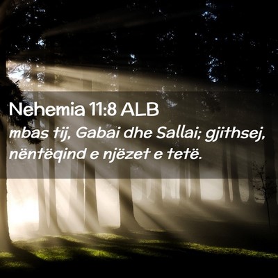 Picture 02 - Nehemia 11:8 ALB - mbas tij, Gabai dhe Sallai; gjithsej, nëntëqind - Bible Verse Picture