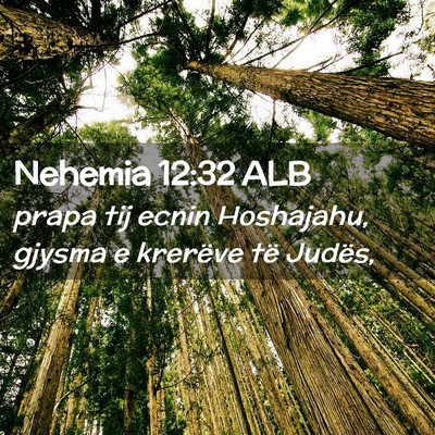 Picture 02 - Nehemia 12:32 ALB - prapa tij ecnin Hoshajahu, gjysma e krerëve të - Bible Verse Picture