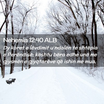Picture 02 - Nehemia 12:40 ALB - Dy koret e lëvdimit u ndalën te shtëpia e - Bible Verse Picture
