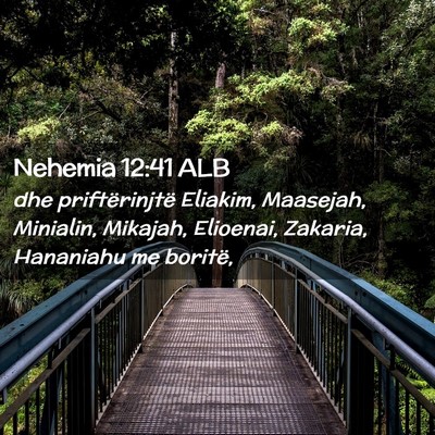 Picture 02 - Nehemia 12:41 ALB - dhe priftërinjtë Eliakim, Maasejah, Minialin, - Bible Verse Picture
