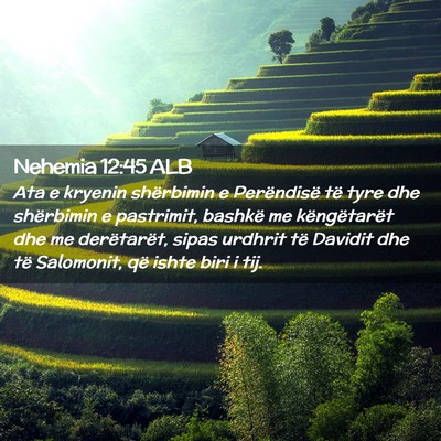 Picture 02 - Nehemia 12:45 ALB - Ata e kryenin shërbimin e Perëndisë të tyre - Bible Verse Picture