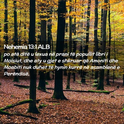 Picture 02 - Nehemia 13:1 ALB - po atë ditë u lexua në prani të popullit - Bible Verse Picture