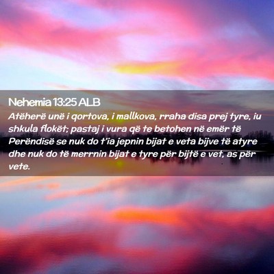 Picture 02 - Nehemia 13:25 ALB - Atëherë unë i qortova, i mallkova, rraha disa - Bible Verse Picture