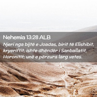 Picture 02 - Nehemia 13:28 ALB - Njeri nga bijtë e Joadas, birit të Elishibit, - Bible Verse Picture