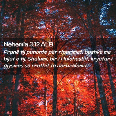 Picture 02 - Nehemia 3:12 ALB - Pranë tij punonte për riparimet, bashkë me - Bible Verse Picture