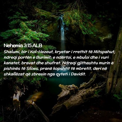 Picture 02 - Nehemia 3:15 ALB - Shalumi, bir i Kol-Hezeut, kryetar i rrethit të - Bible Verse Picture