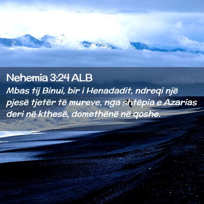 Picture 02 - Nehemia 3:24 ALB - Mbas tij Binui, bir i Henadadit, ndreqi një - Bible Verse Picture