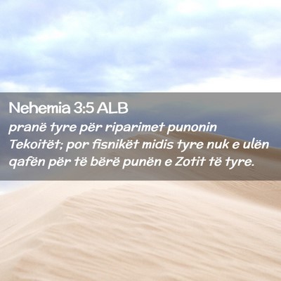 Picture 02 - Nehemia 3:5 ALB - pranë tyre për riparimet punonin Tekoitët; por - Bible Verse Picture