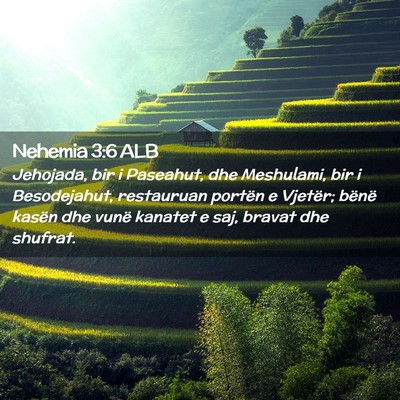 Picture 02 - Nehemia 3:6 ALB - Jehojada, bir i Paseahut, dhe Meshulami, bir i - Bible Verse Picture