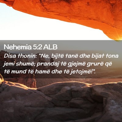 Picture 02 - Nehemia 5:2 ALB - Disa thonin: 