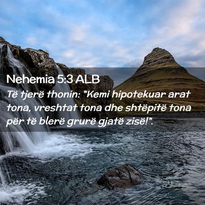 Picture 02 - Nehemia 5:3 ALB - Të tjerë thonin: 