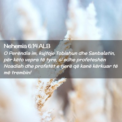 Picture 02 - Nehemia 6:14 ALB - O Perëndia im, kujtoje Tobiahun dhe Sanbalatin, - Bible Verse Picture