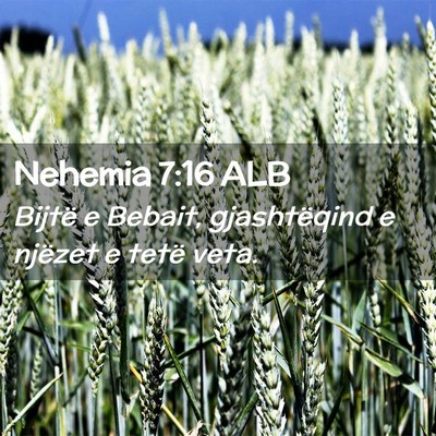 Picture 02 - Nehemia 7:16 ALB - Bijtë e Bebait, gjashtëqind e njëzet e tetë - Bible Verse Picture
