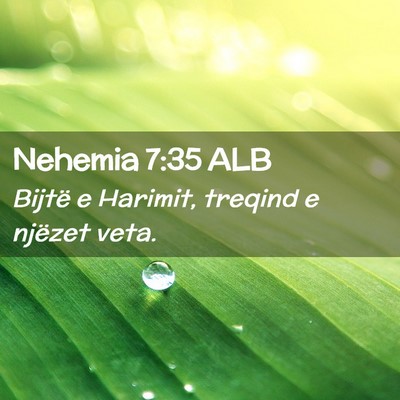 Picture 02 - Nehemia 7:35 ALB - Bijtë e Harimit, treqind e njëzet - Bible Verse Picture